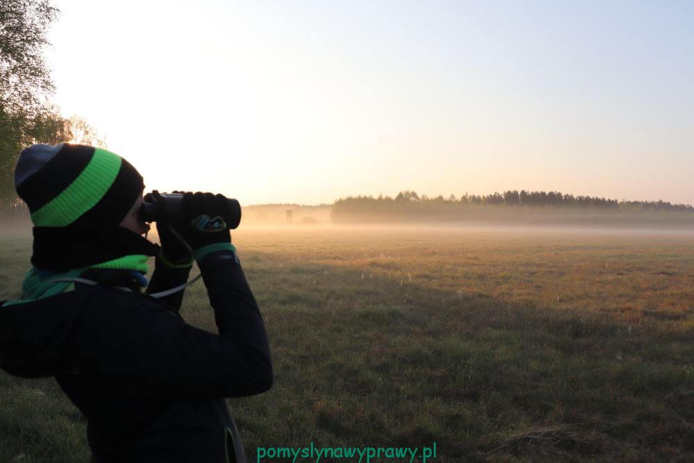 Podlasie Puszcza Białowieska Białowieski Park Narodowy wyprawa na żubry świt