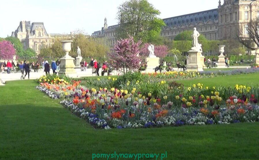 Paryz Ogrody Tuileries