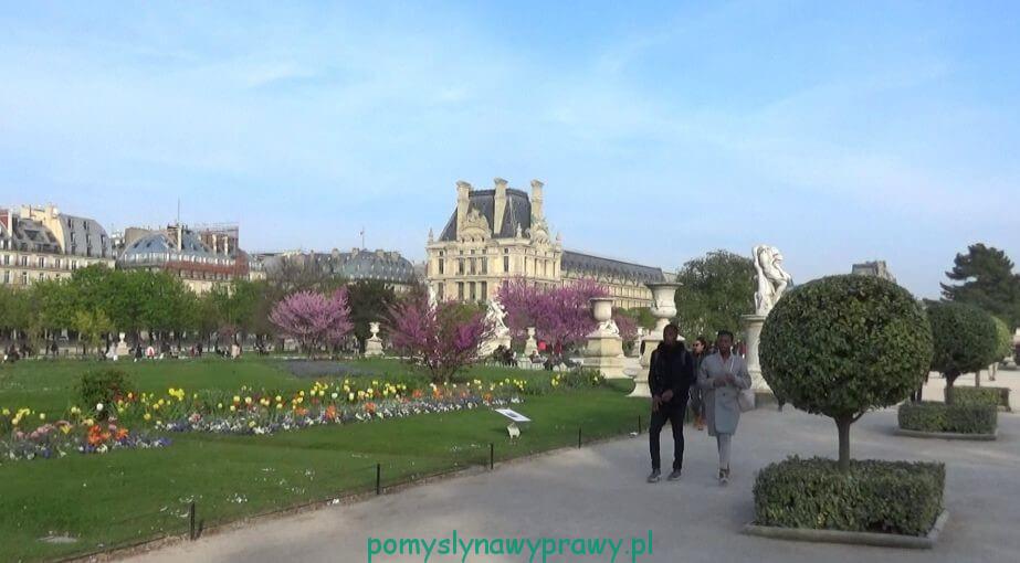 Paryz Ogrody Tuileries