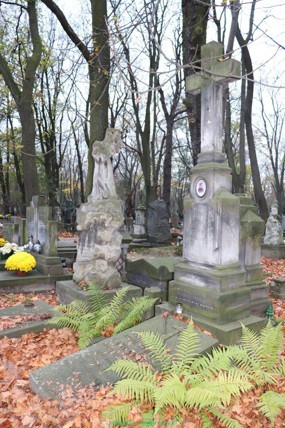 Warszawa cmentarz Stare Powązki