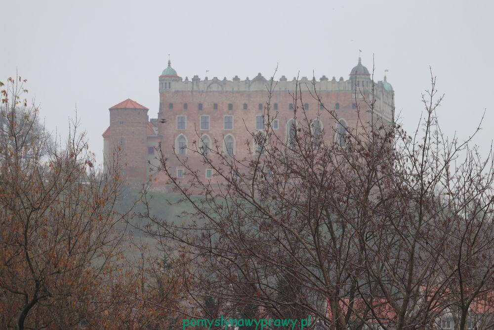 Zamek Golub Dobrzyń